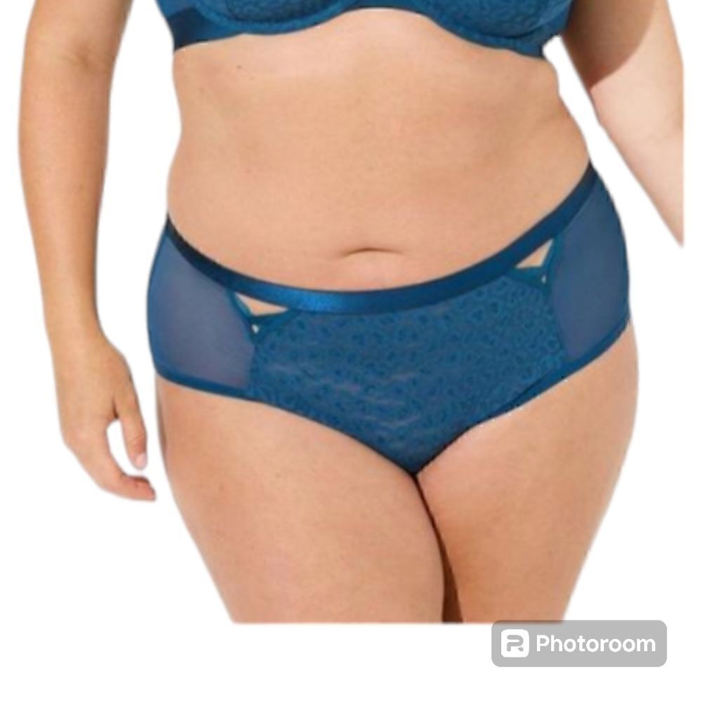 6X 30W Torrid Blue Animal Lace Cheeky Panty Lingerie Sheer Breathable Summer NWT